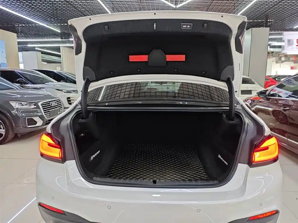 BMW 5 Series 2018 Facelift 530Li Exclusive M Sport Package фото 19