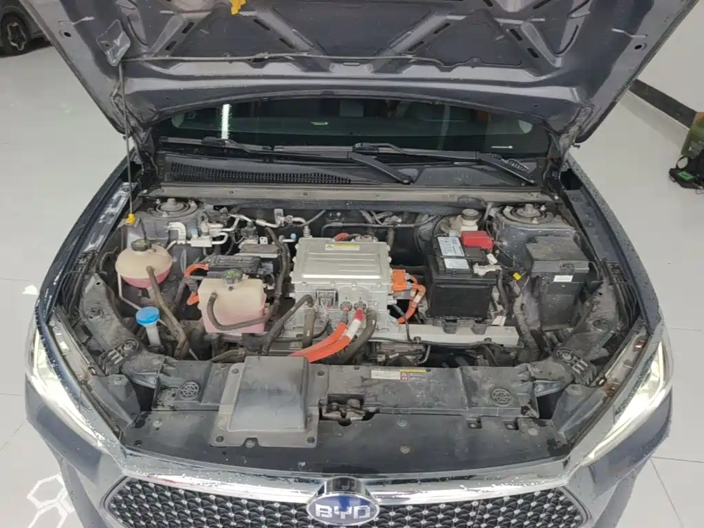 BYD e2 2021 2020 Upgraded Long Range Premium
