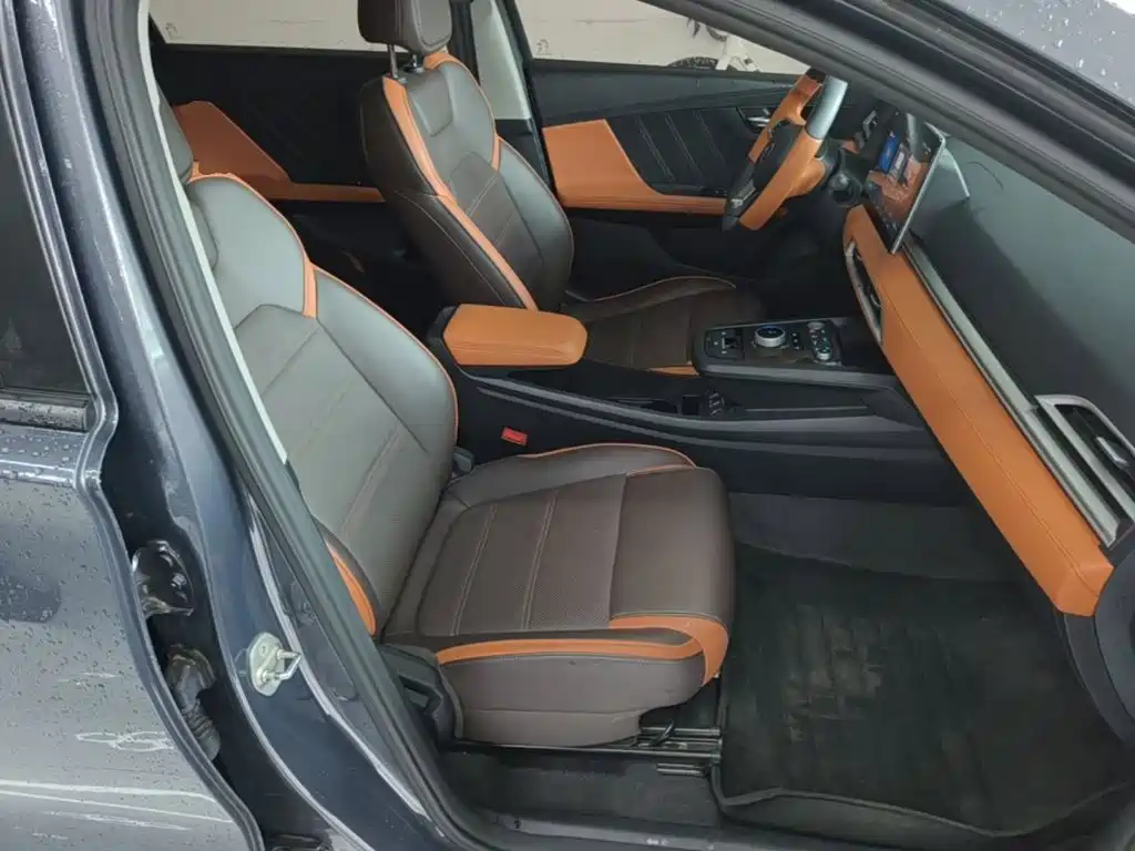 BYD e2 2021 2020 Upgraded Long Range Premium