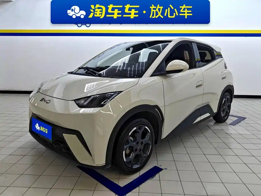 BYD Seagull 2024 Glory Edition 305km Freedom Edition