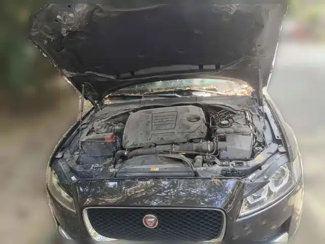 Jaguar XFL 2019 XFL 2.0T 200PS FWD Elite Edition — фото 3