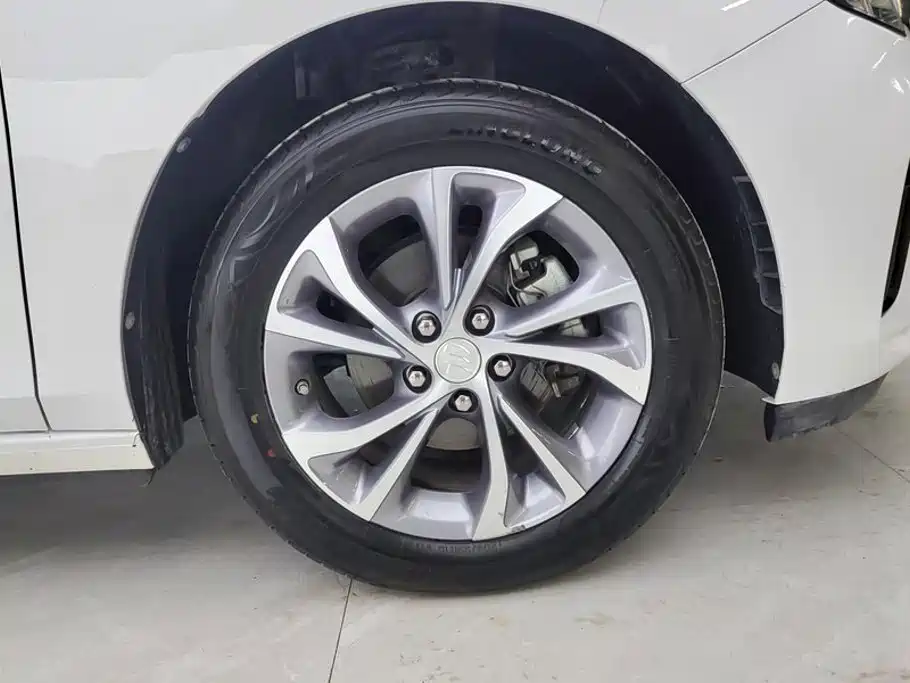 BUICK WEILANG