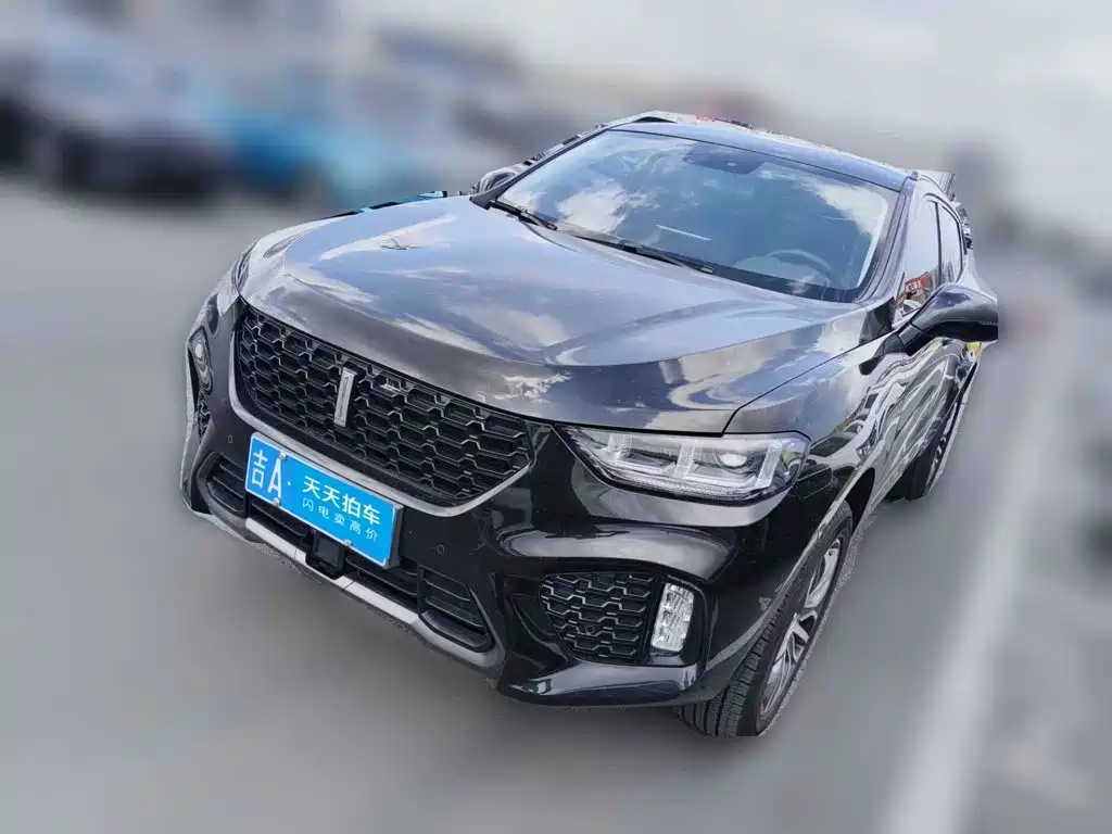 WEY VV5 2017 2017 2.0T Super Luxury Model