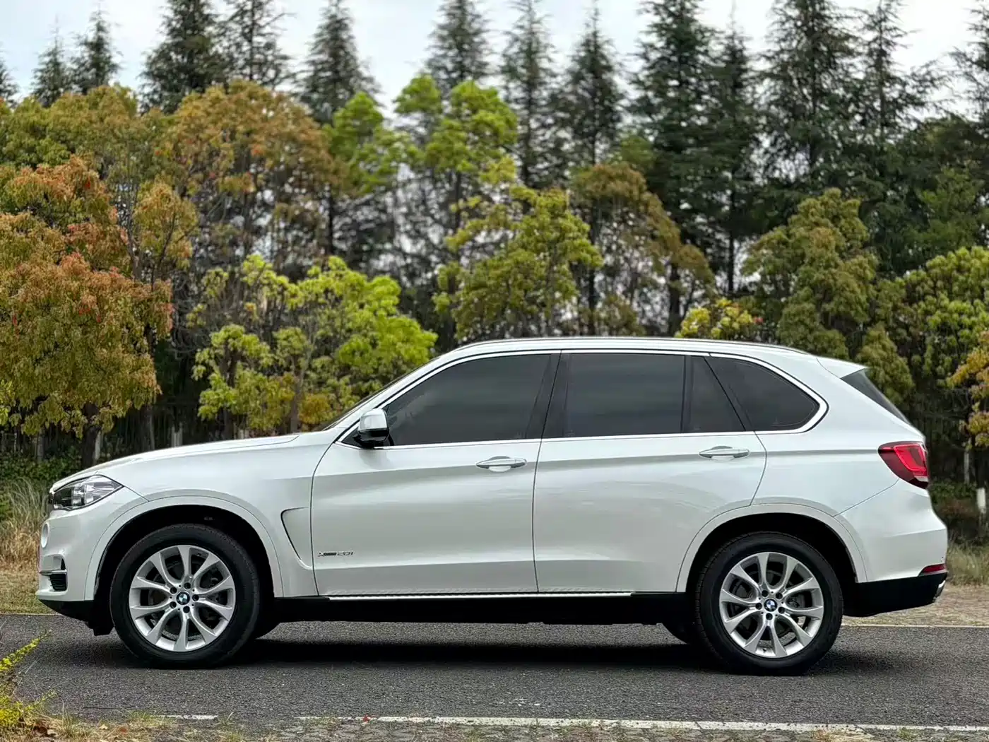 BMW X5 (Import) 2018 xDrive28i фото 12