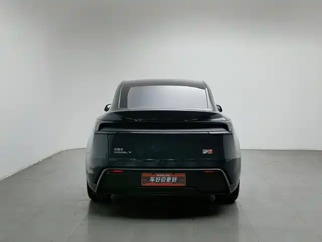 Tesla Model Y 2025 Rear-Wheel Drive — фото 4