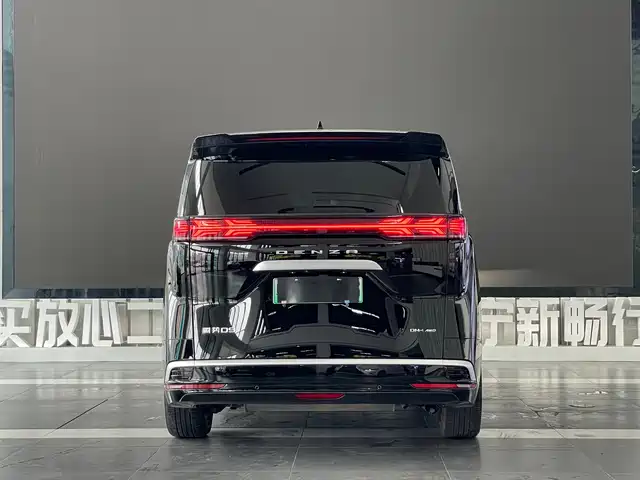 Denza D9 2022 DM-i 970 All-Wheel Drive Honor Edition — фото 5