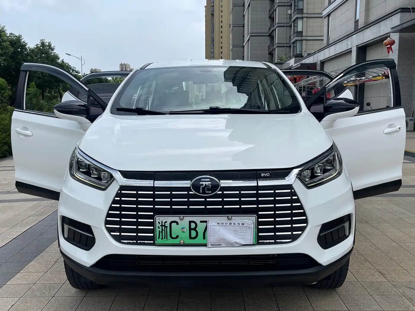 BYD Yuan New Energy 2019 2019 EV535 Smart Connected Trend Leader Type