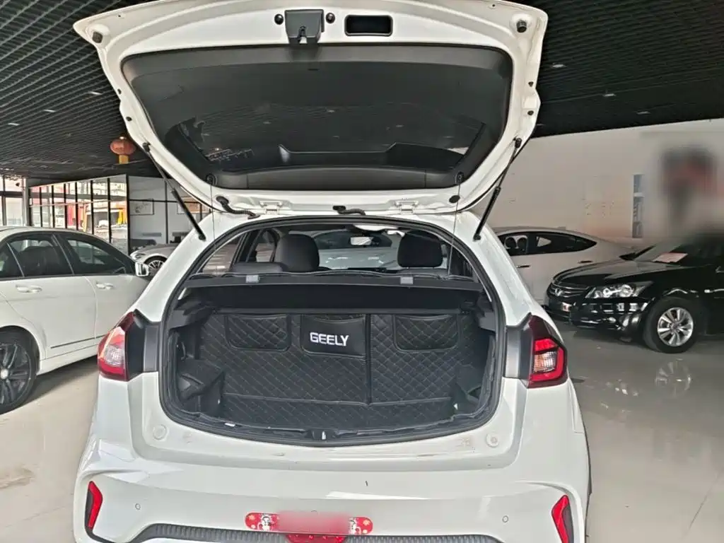 Фото 19 - Geely Vision X3