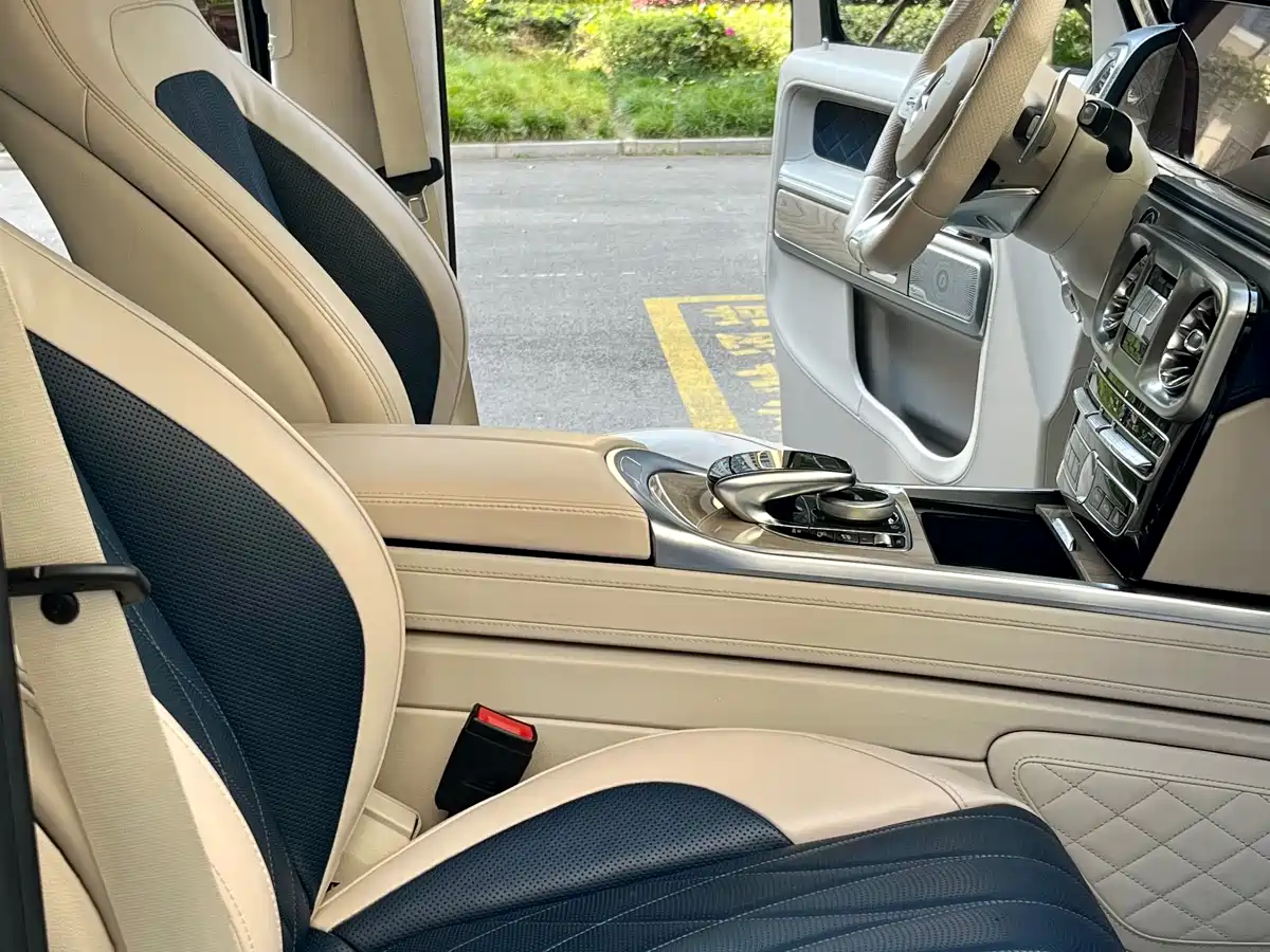 Mercedes-Benz G-Class 2020 G 500 Time Inscription Special Edition фото 20