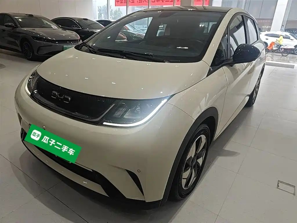 BYD Dolphin 2024 Glory Edition 420km Fashion Edition