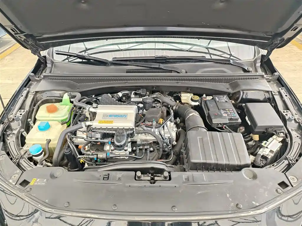 GAC TRUMPCHI SHADOW LEOPARD
