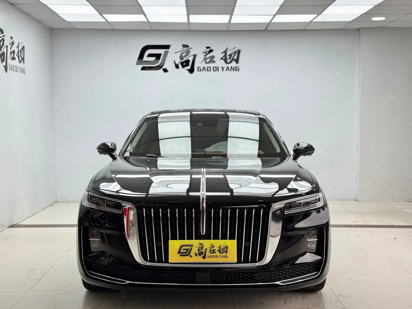 Hongqi HONGQI H9