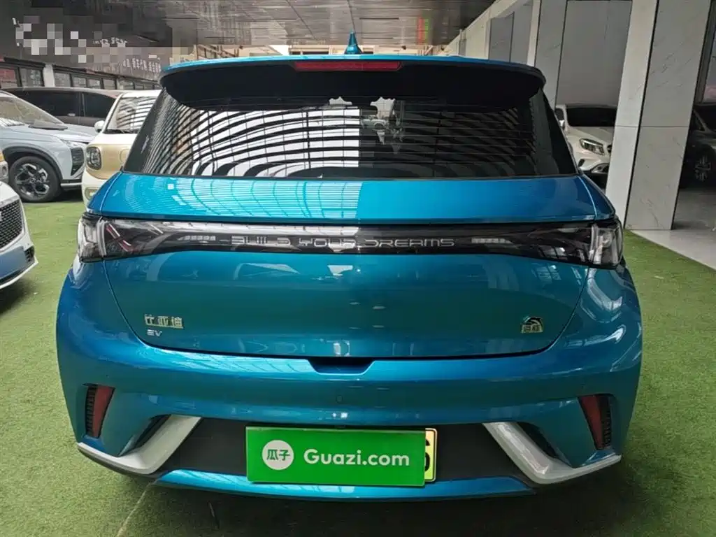 BYD Dolphin 2021 Model 405km Fashion Edition фото 6