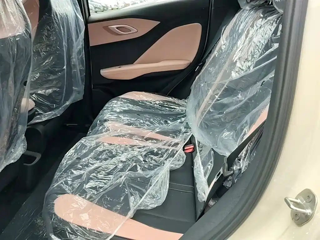 BYD Seagull 2025 Smart Drive Edition 305km Vitality Version фото 17