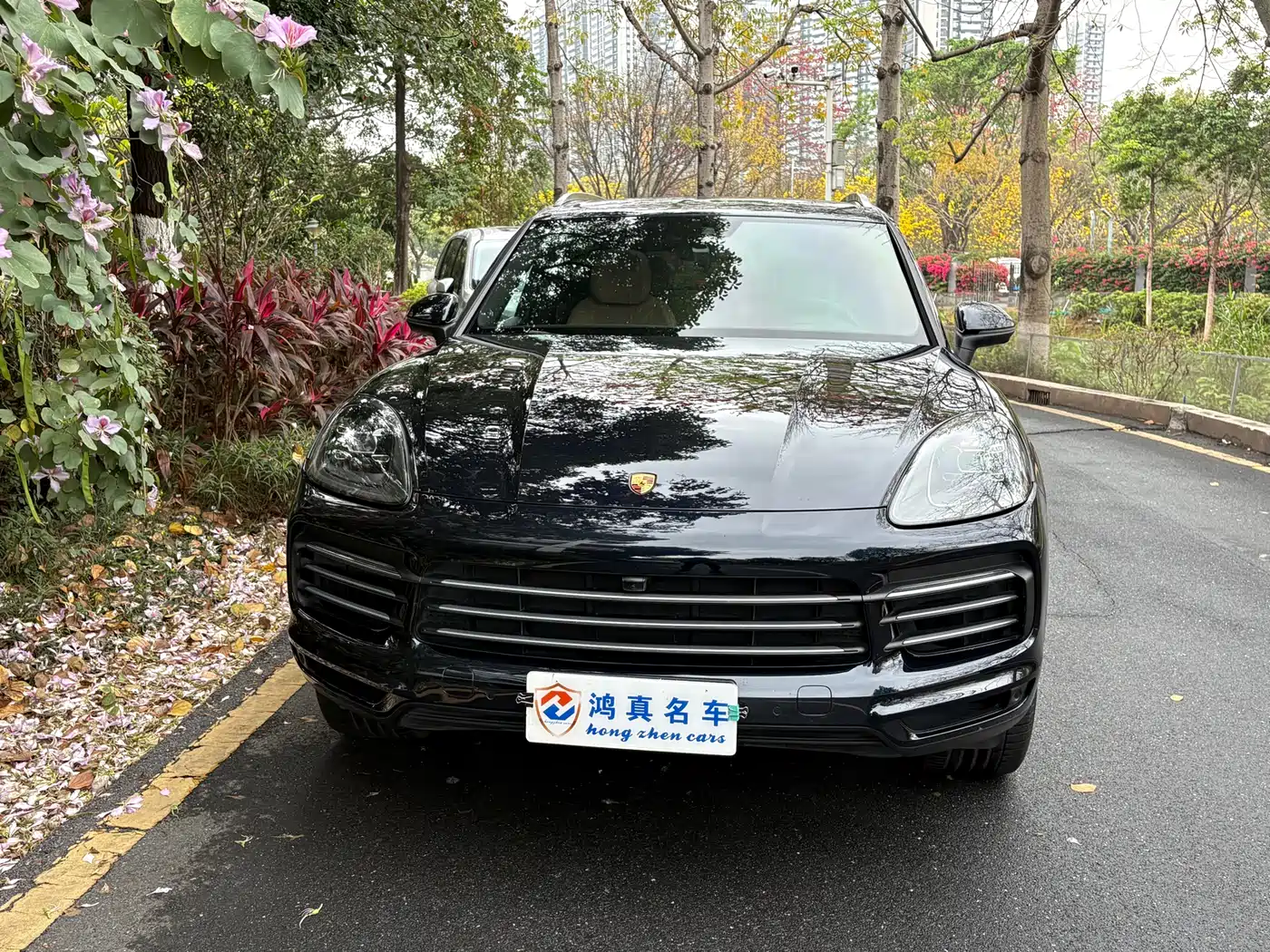 Porsche Cayenne 2019 Cayenne 3.0T фото 2
