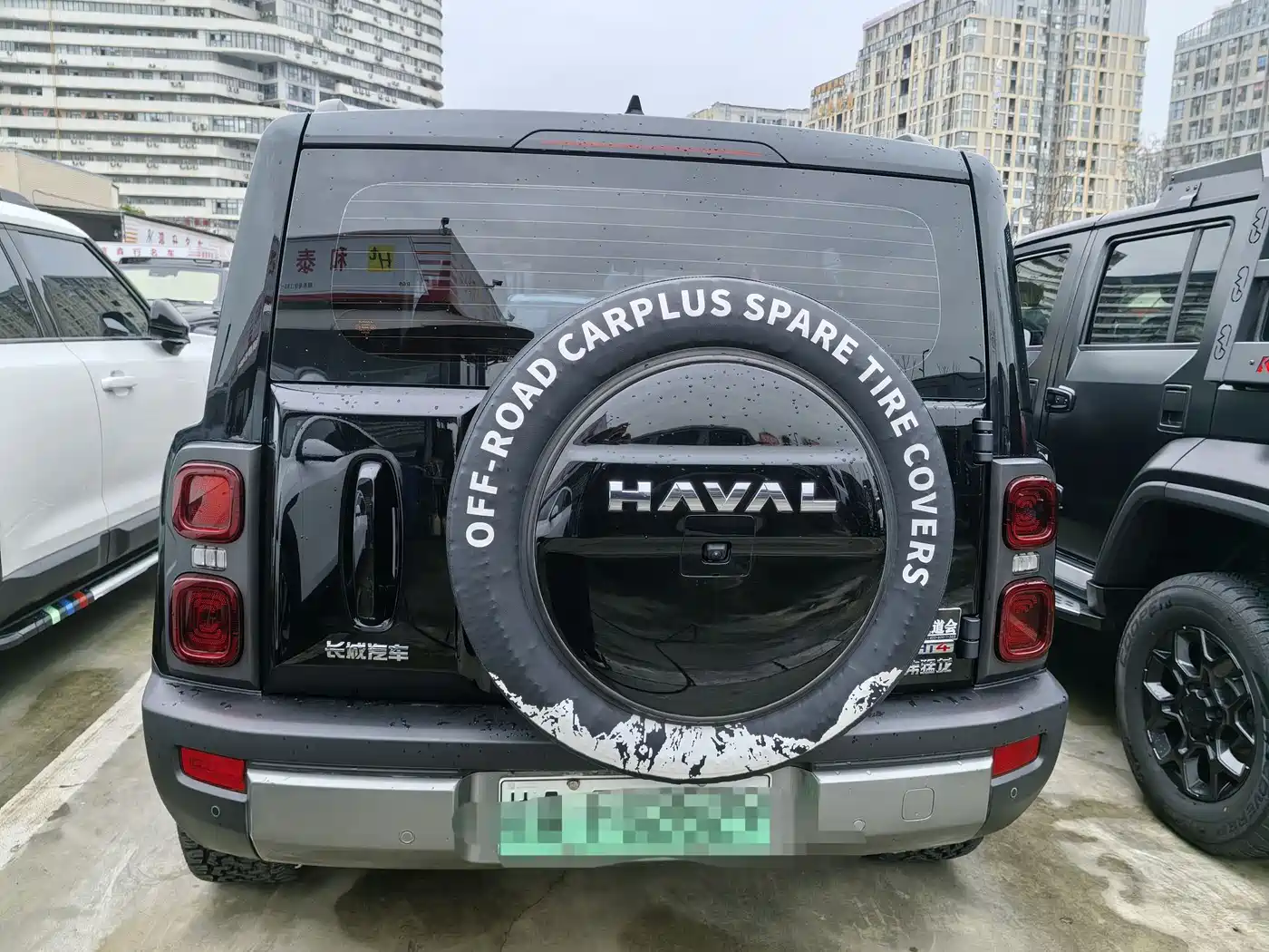 HAVAL RAPTORS NEW ENERGY