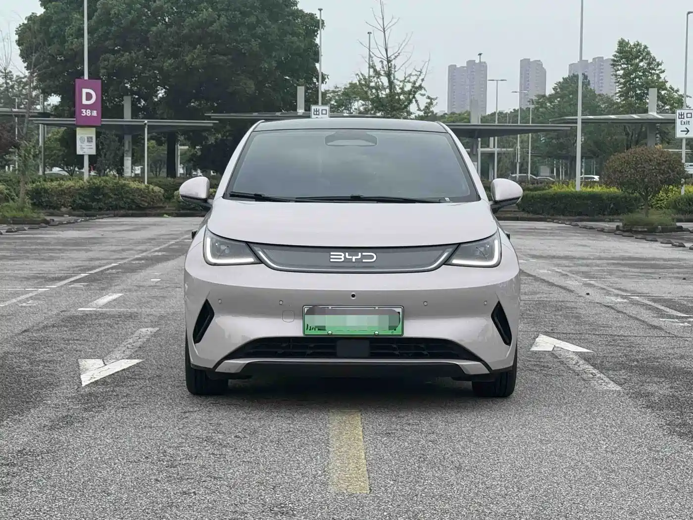 BYD Dolphin 2025 Smart Drive Edition 410km Fashion Version фото 2