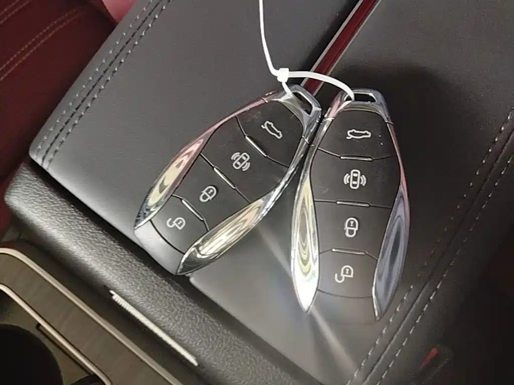 Hongqi HS5 2026 2026 2.0T 2WD Qi Rhythm Pro Edition