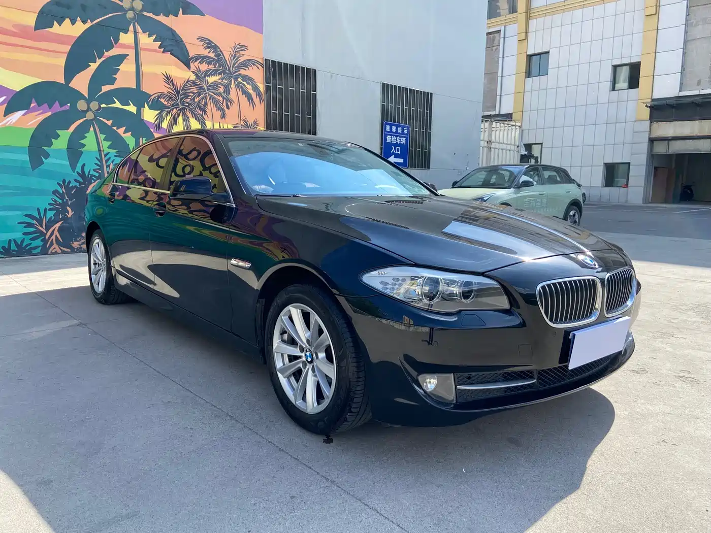 BMW 5 Series 2013 525Li Luxury фото 7