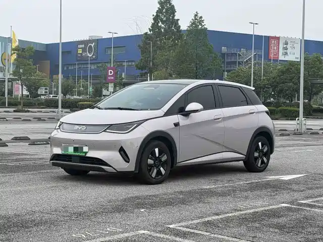 BYD Dolphin 2025 Smart Drive Edition 410km Fashion Version