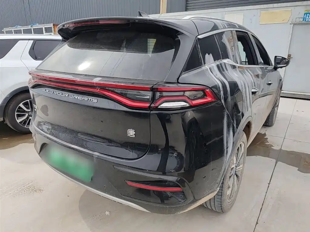 BYD Tang New Energy 2022 EV 730KM Premium фото 5