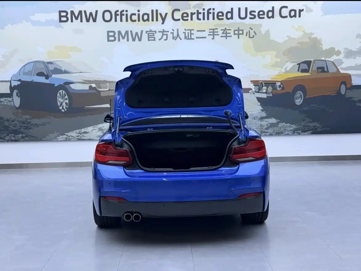 BMW 2 Series (Import) 2018 225i Convertible Coupe M Sport фото 6