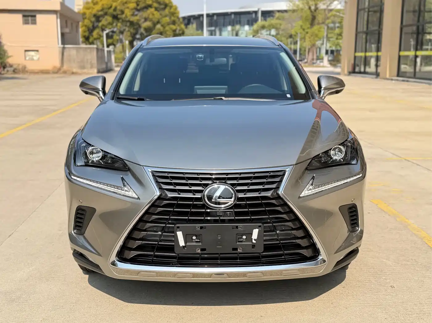 LEXUS NX