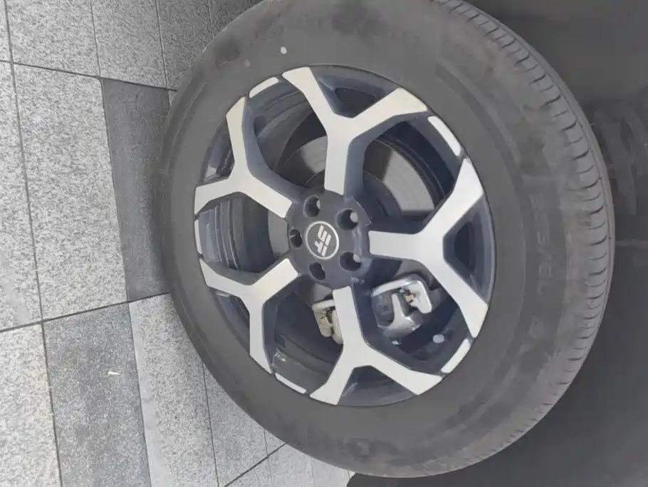 Jetour Shanhai T1 2025 2025 Model Year 150km Explorer