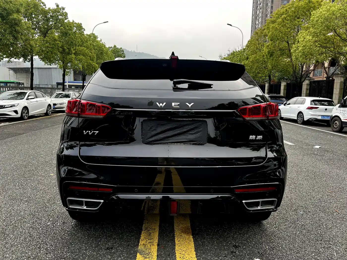 WEY VV7 2020 2020 Model 2.0T Flagship