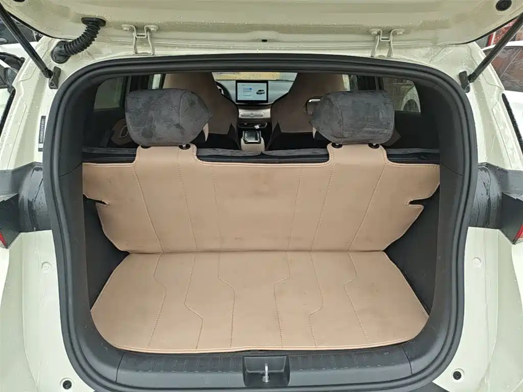 BYD Seagull 2025 Smart Drive Edition 305km Vitality Version фото 19