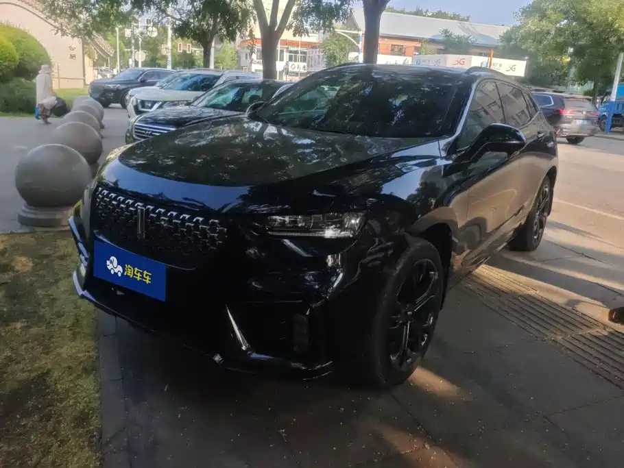 WEY VV7 2020 2021 Model 2.0T Technology Edition