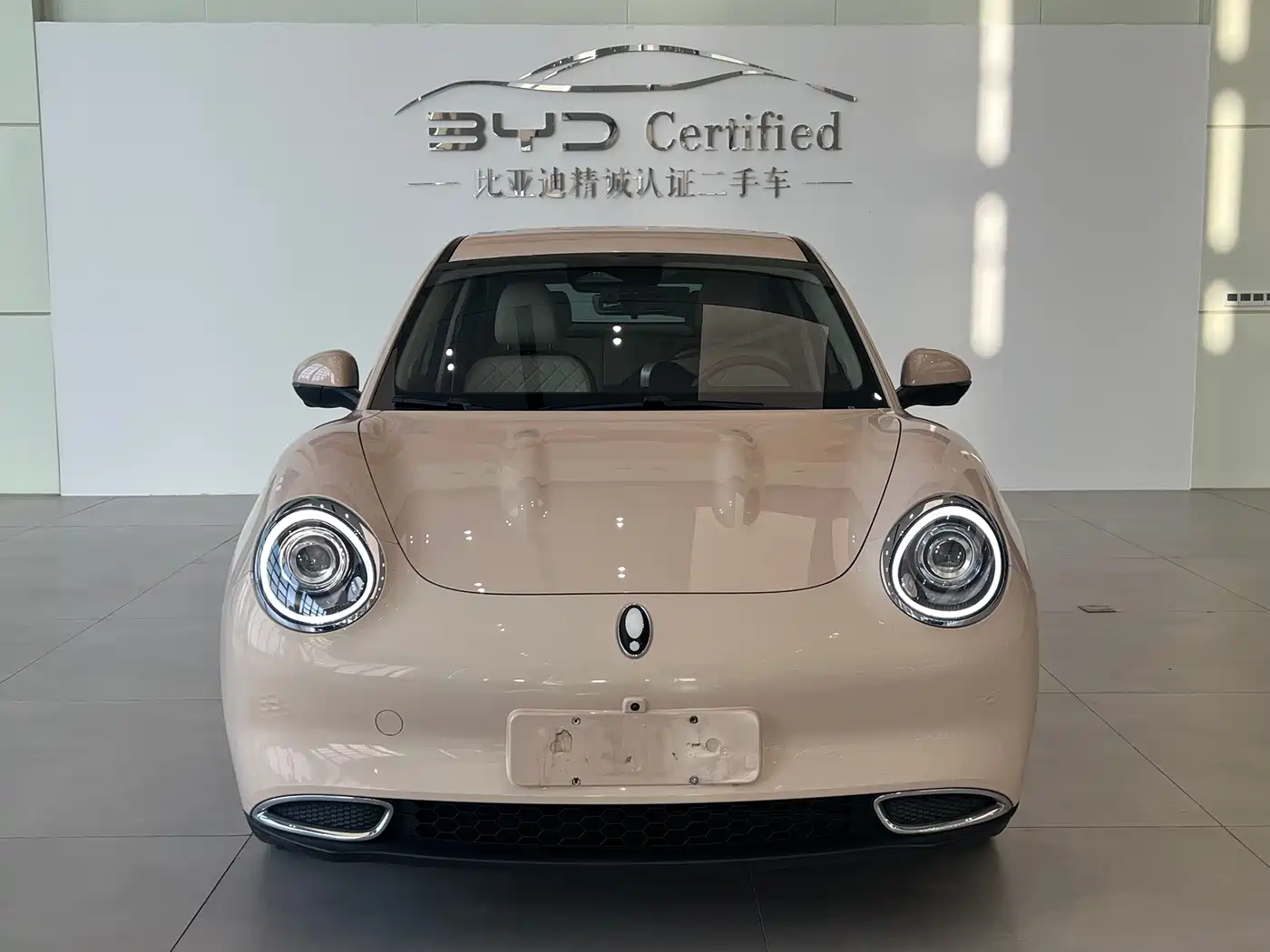 Ora Good Cat 2023 2023 401km Standard Range Luxury LFP