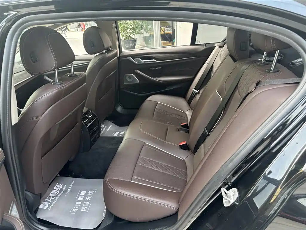 BMW 5 Series 2021 530Li Leading Luxury Package фото 13