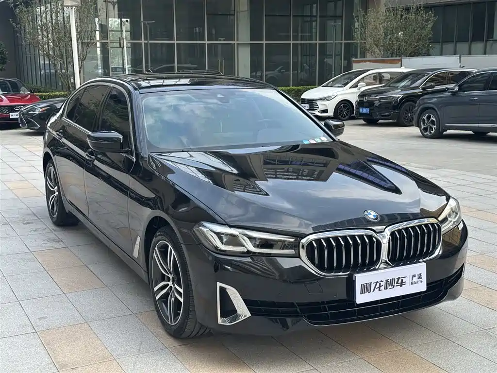 BMW 5 Series 2021 530Li Leading Luxury Package фото 4