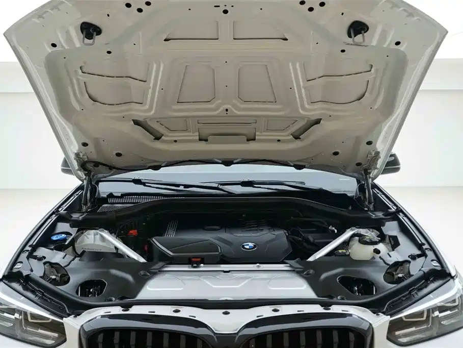 BMW X3 2022 xDrive30i Leading M Night Package фото 7