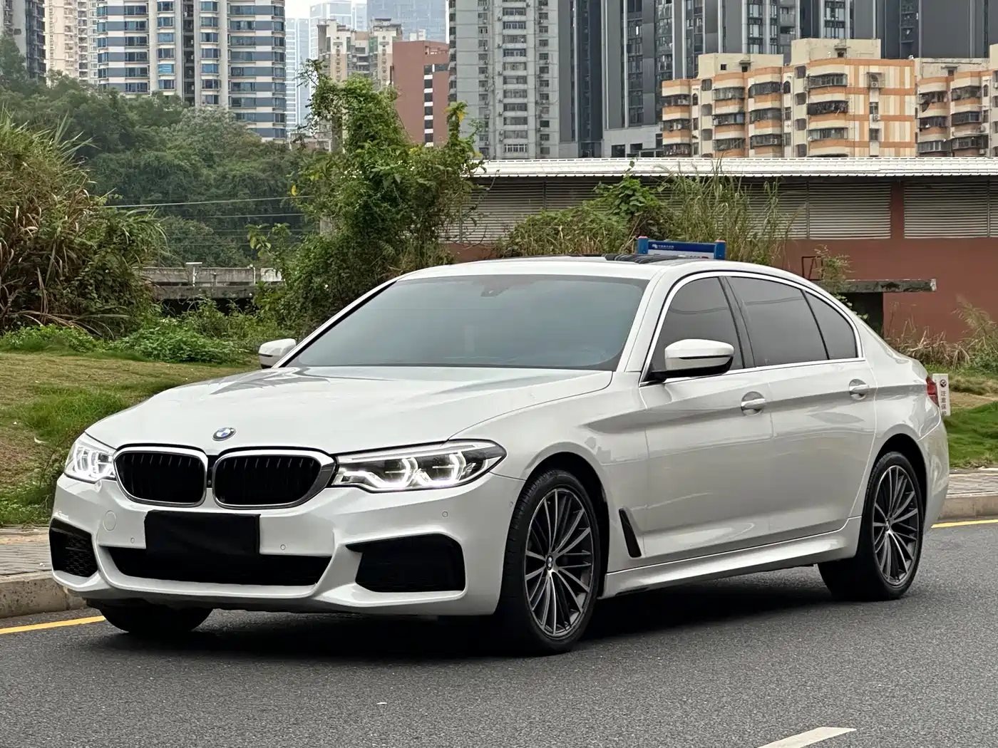 BMW 5 Series 2020 530Li Exclusive M Sport Package
