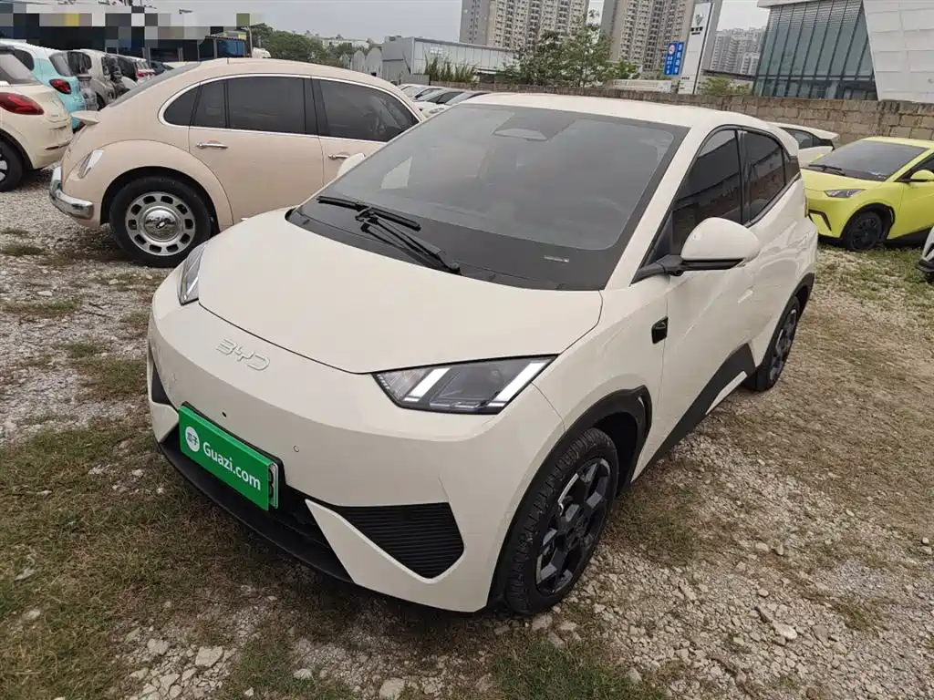 BYD Seagull 2025 Smart Drive Edition 305km Freedom Version фото 2