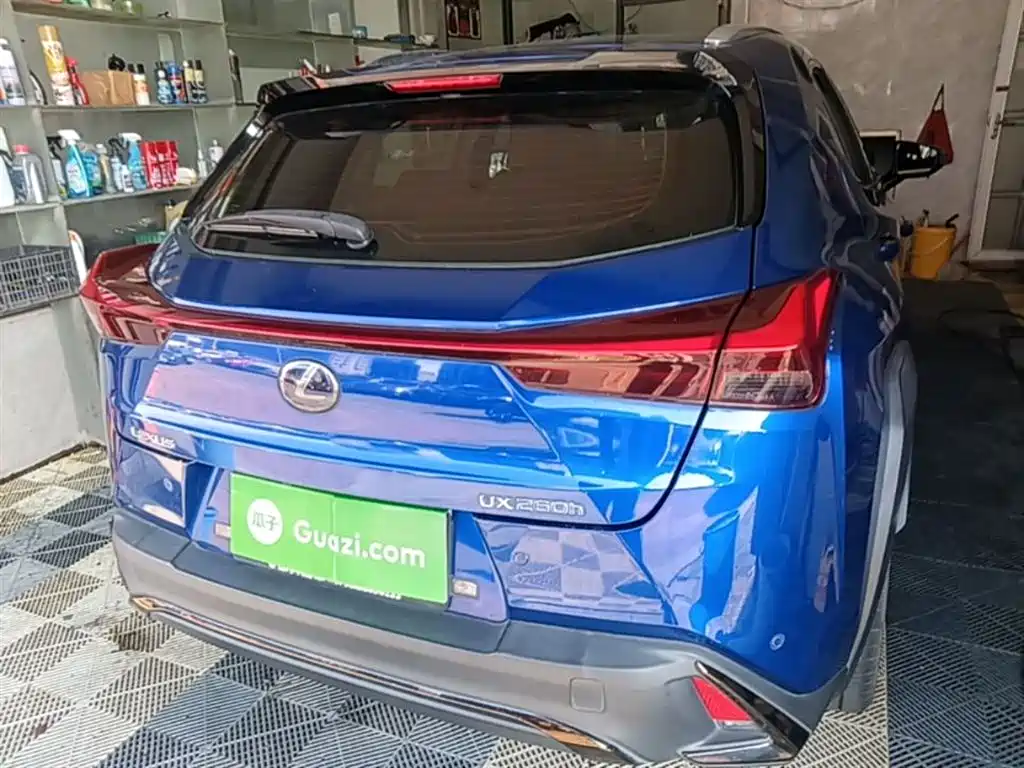 Lexus UX 2019 260h F SPORT Edition China VI фото 6