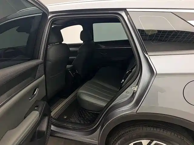 BYD Song Pro New Energy 2025 2nd Gen DM-i 75KM Leading Type фото 9