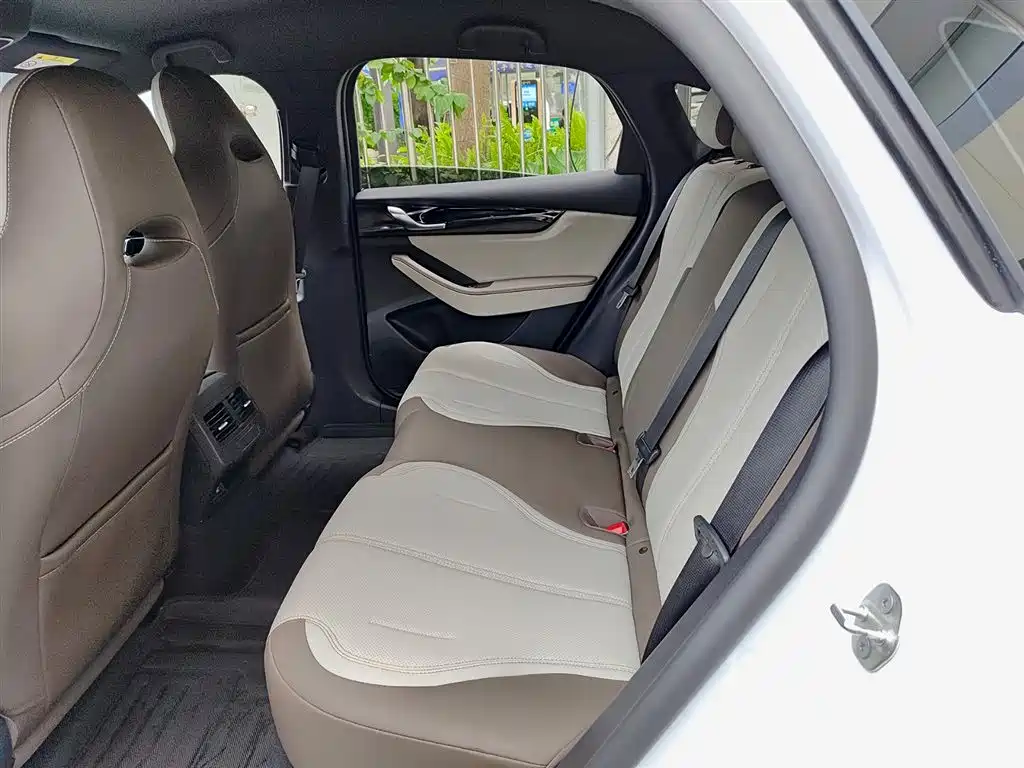 BYD Qin PLUS 2024 Glory Edition DM-i 55KM Leading фото 8