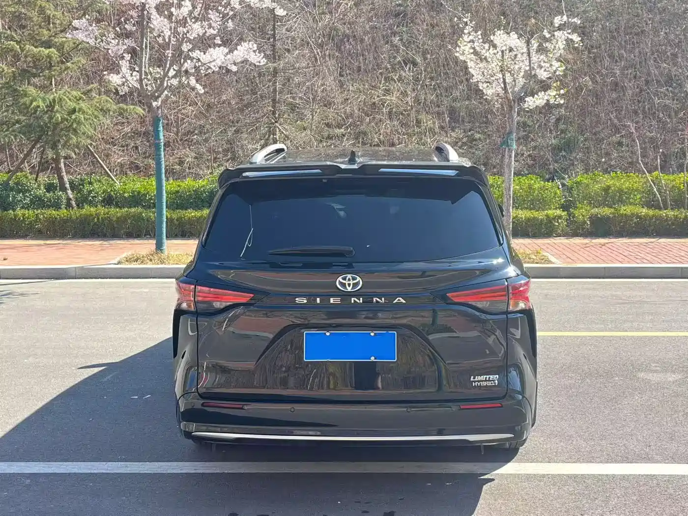 Toyota Sienna 2021 2.5L Hybrid Premium Edition фото 8