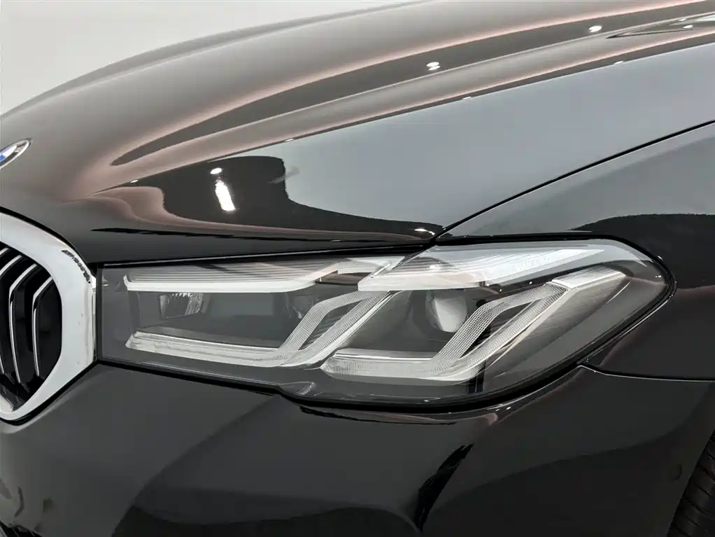 BMW 5 Series 2021 Facelift 530Li Premium M Sport Package фото 19