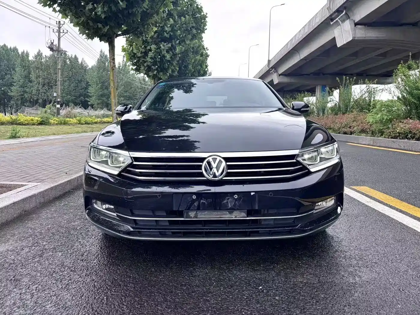 Volkswagen Magotan 2019 330TSI DSG Luxury Class China VI