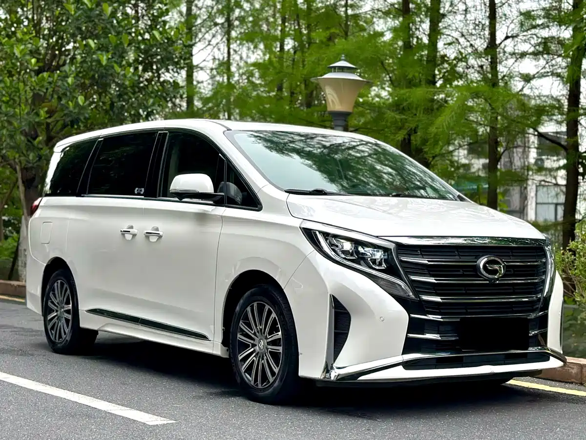 GAC Trumpchi Trumpchi M8 2021 Leading Show Series 390T Ultimate Edition фото 9