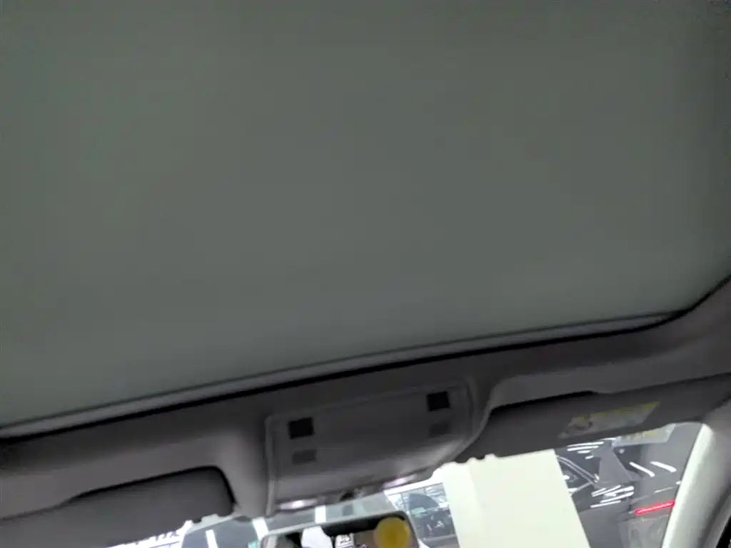 Volkswagen Magotan 2019 330TSI DSG Leading China V фото 18