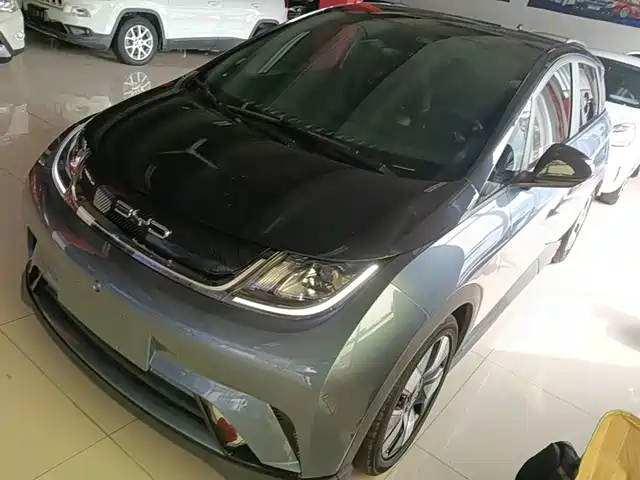 BYD Dolphin 2023 401km Knight Edition