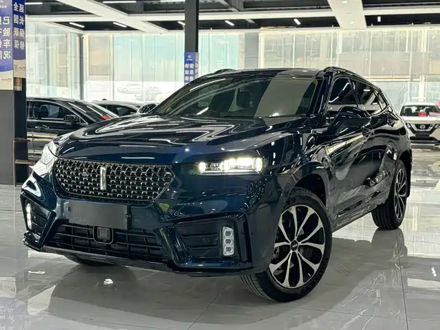 WEI PAI WEI BRAND VV7