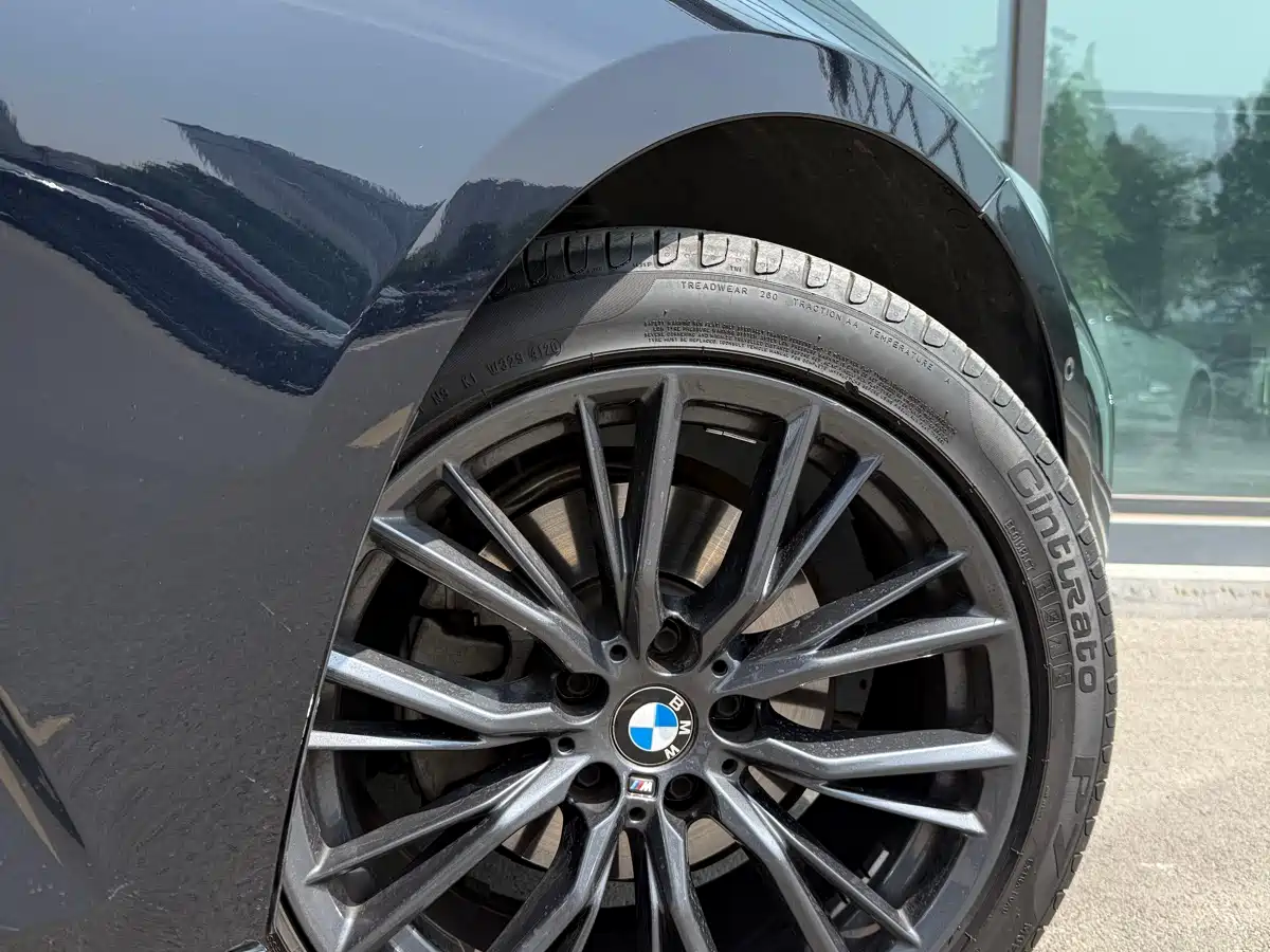 BMW 3 Series 2021 325Li M Sport Night Edition фото 9