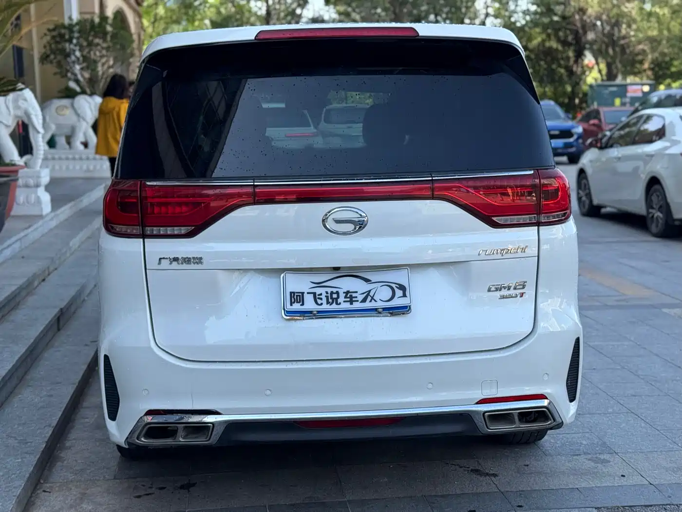 GAC Trumpchi Trumpchi M8 2020 Pilot 390T Prestige Edition фото 6