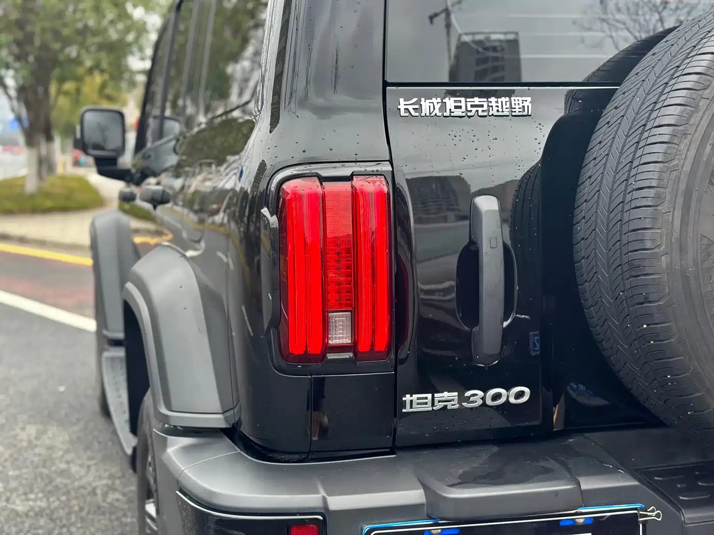 Tank 300 2023 Off-Road Edition 2.0T Conqueror фото 21